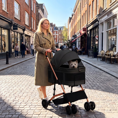 Poussette pour animaux avec support amovible pour petits chiens et chats, poussette pliable à 4 roues avec une clé