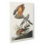 Marsh Hawks by John James Audubon - Wrapped Canvas-55361975