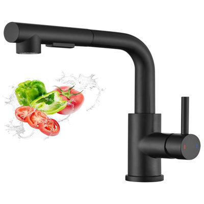 Belfry Kitchen Antani Kitchen Faucet