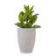 Pot de fleurs en céramique, pot de fleurs moderne pour patio, jardin, rebord de fenêtre - blanc-53288036