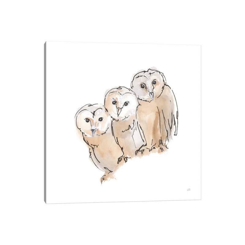 Barn Owl Iii by Chris Paschke - Wrapped Canvas Print, 45.72 cm H x 45.72 cm W x 1.91 cm D