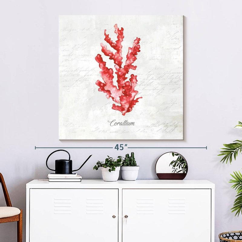 Brampt Red Sea Coral