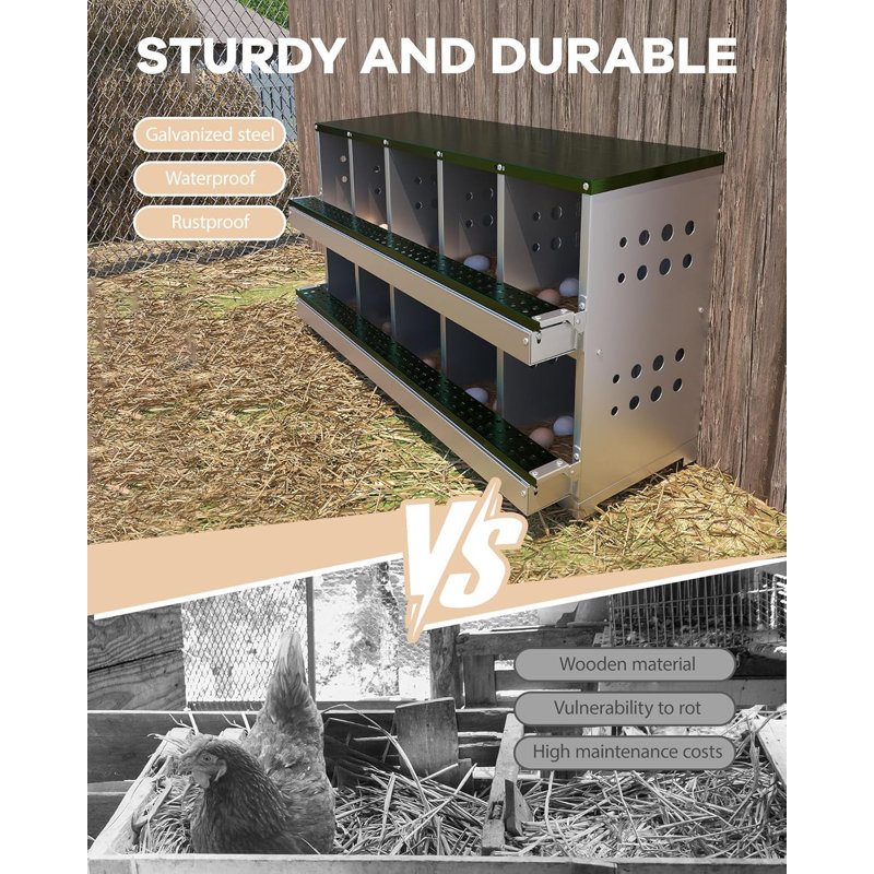 Boîte de nidification à 10 compartiments pour poules pondeuses en métal, Vert / nickel brossé, H 25 po x l 45 po x P 17 po