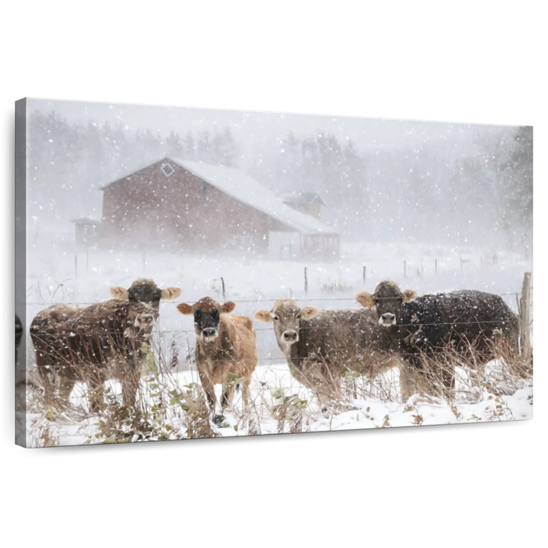 Brampt Cold Cows On The Farm, 16" H x 24" W