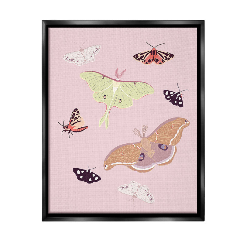 "Varied Moth" sur toile, H 21 po x l 17 po, Cadre flottant noir de jais