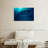 Brampt Blue Whale Underwater-108908534