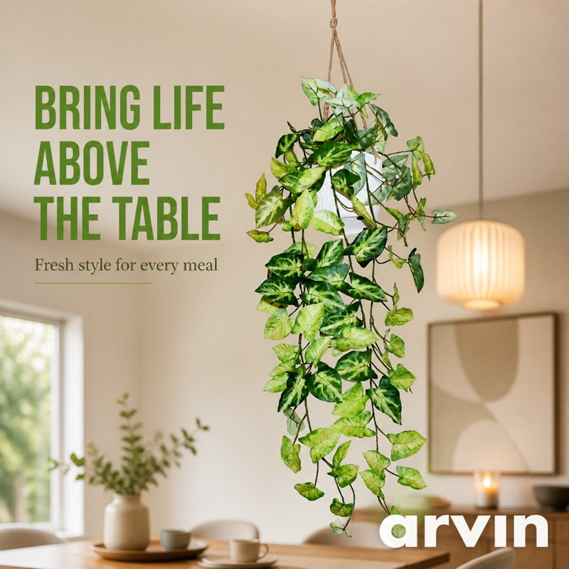 Plante pothos suspendue 26 po en pot blanc
