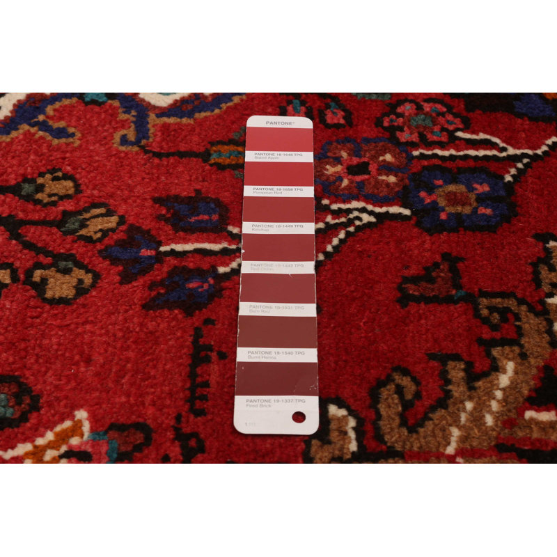 Tapis rouge Andelz 3 pi 8 po x 10 pi 7 po