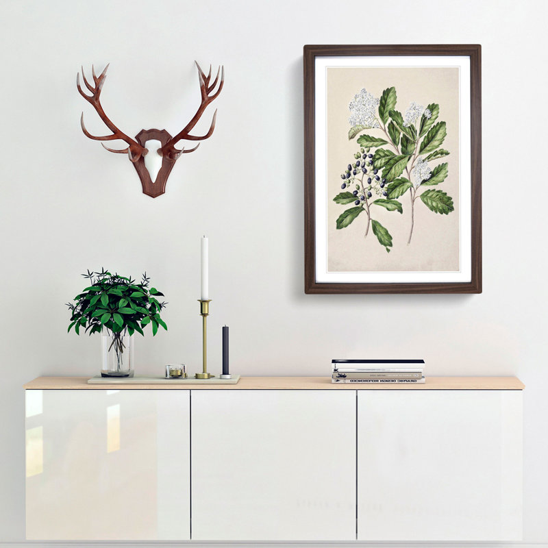 Kaikomako Flowers by Sarah Featon - Framed Print, 36cm H x 27cm W x 2cm D, Walnut Framed