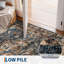 Abstract Machine Printed 120cm X 170cm Area Rug-558202964-558202966