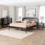 Ensemble de chambre avec grand lit 4 pièces Kedzie Baxton Studio Florica