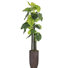 Panama Foliage Tree in Resin Planter