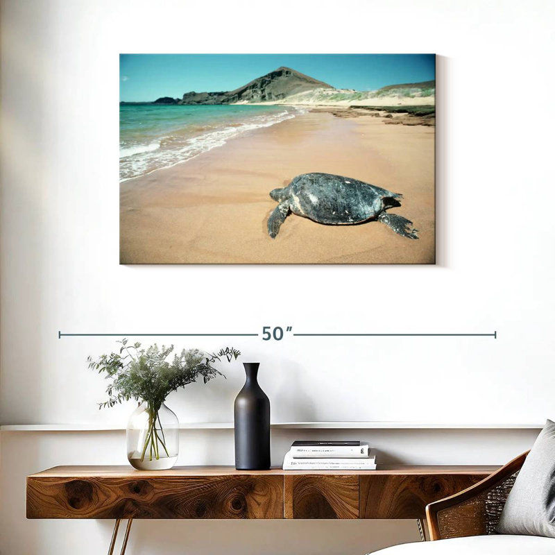 Brampt Galapagos Loggerhead Turtle, 24" H x 36" W
