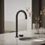 Aquifer4-In-1 Tall Arc Beverage Faucet-24966291