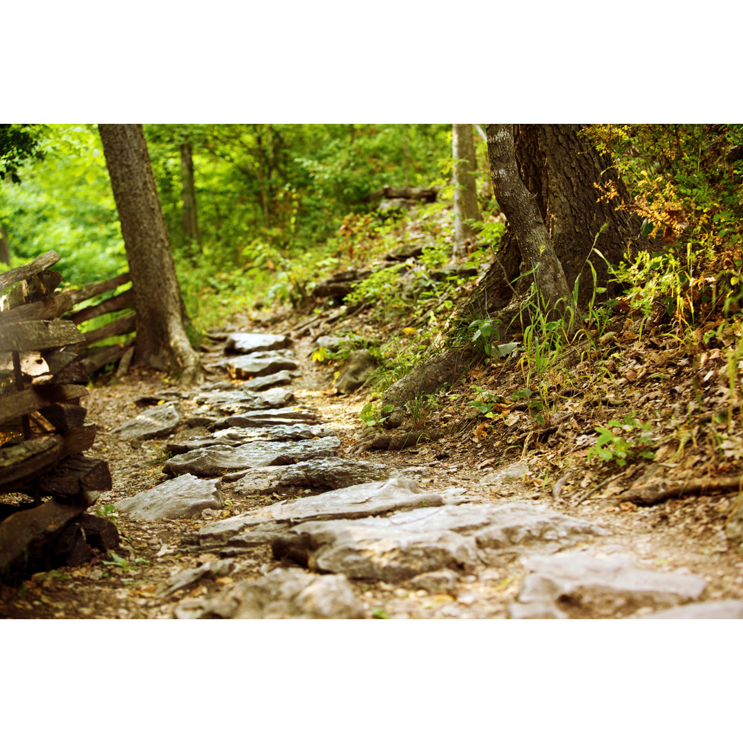 Naturwanderweg im Freien