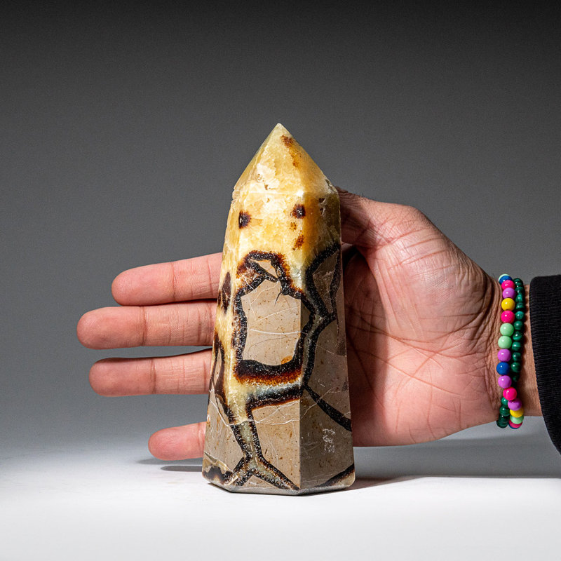 Genuine Polished Septarian Point from Madagascar (1.7 Lbs)