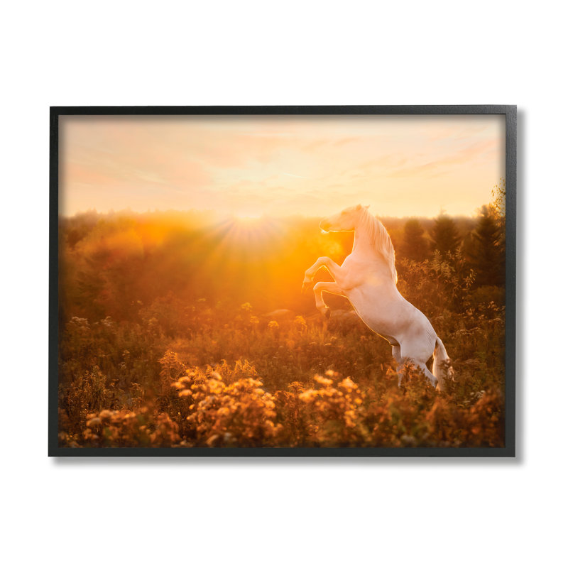 Ba-332-Cheval debout avec soleil levant, Giclée encadrée noir minuit, H 16 po x l 20 po x P 1,5 po
