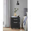 54.4cm Wide 2 -Drawer Mobile File Cabinet