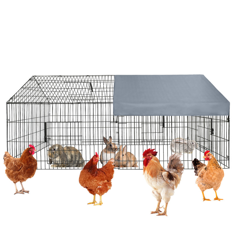 Small Animal Cage