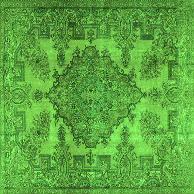 Performance Oriental Indoor Rug