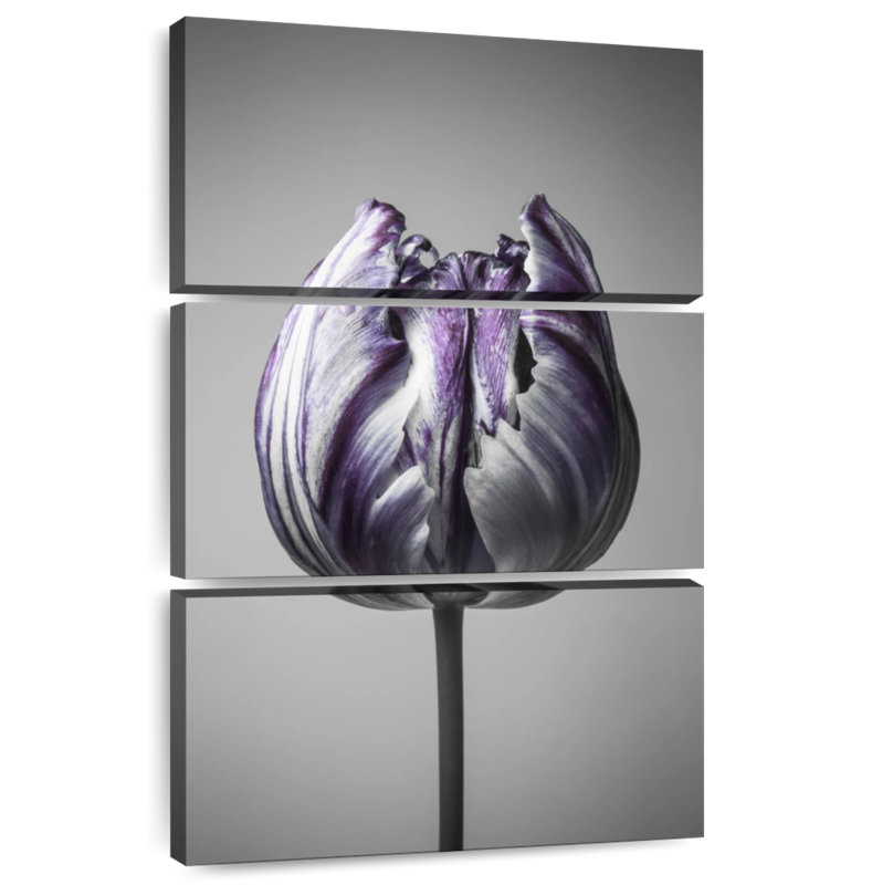 Harnek Baroque I, 57" H x 36" W