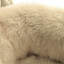 Almaguer Calming Round Donut Plush Dog Cuddler Bed-2031884267-2031980352
