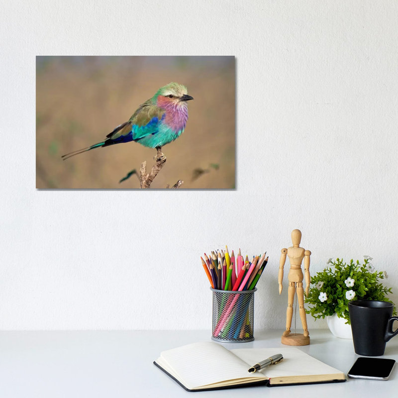 Lilac-Breasted Roller Perching, Masai Mara Game Reserve, Kenya by Gerry Ellis - Wrapped Canvas Painting