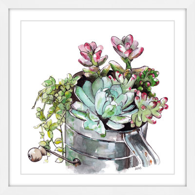 " Succulents " by Rachel Byler