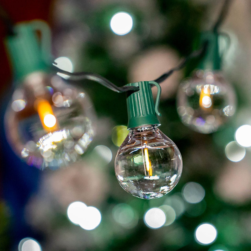 Doyne 50'' Outdoor LED 50 - Bulb Globe String Light (End to End Connectable), Green
