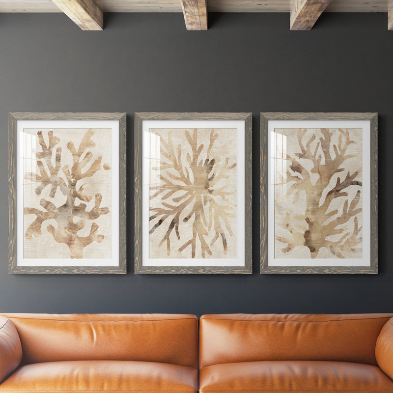 Parchment Coral I - ensemble de 3 reproductions de cadres photo, H 31,5 po x l 47 po x P 1,5 po, Gris