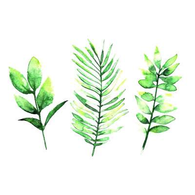 " Three Leafy Branches " Painting Print