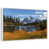 Floating Frame White