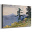 Cerf dans les Adirondacks-Winslow Homer-Gallery, toile tendue-1889-698671559