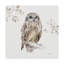 «Woodland Walk VIII Owl» par Lisa Audit - impression sur toile tendue-33410633