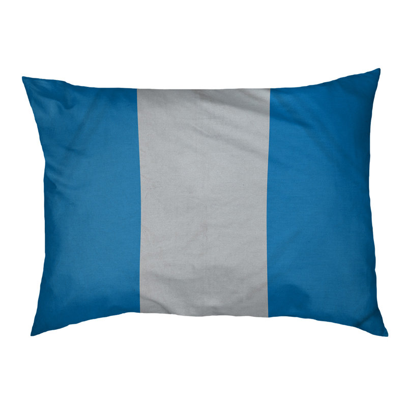 Coussin Designer, Moyen (L 18 po x l 28 po), Bleu / argent / bleu