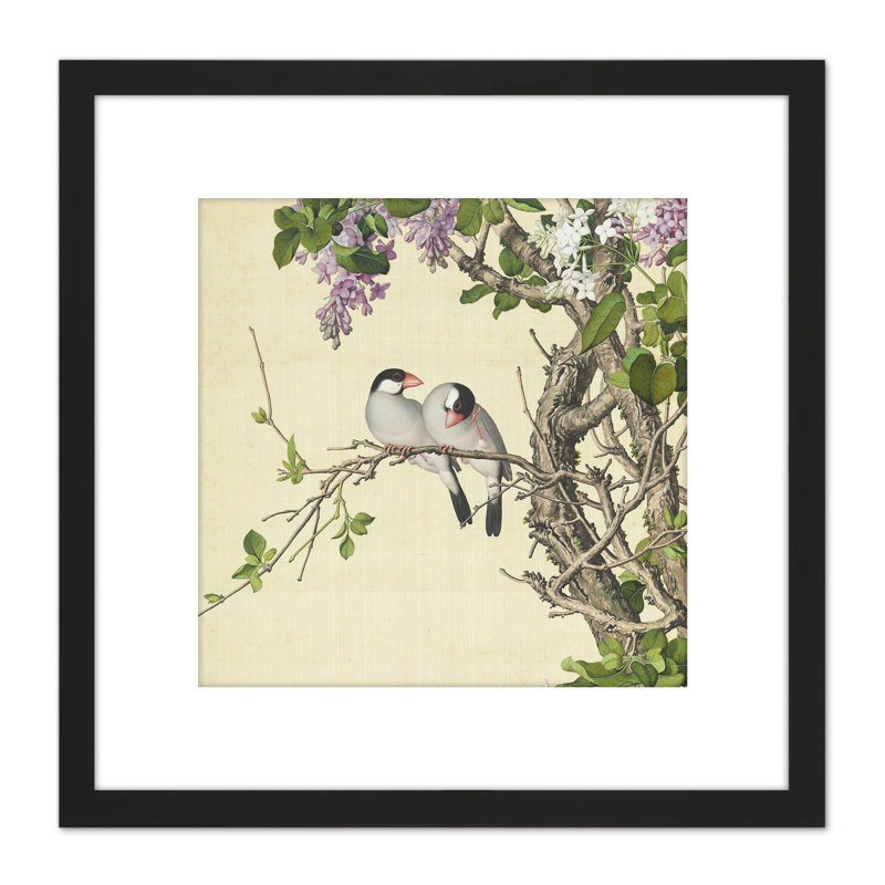 Syringa Birds Tree by Baldassare Castiglione - Single Picture Frame Painting