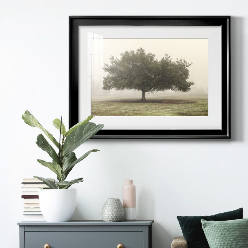 " Trees In The Fog II ", Black Framed, 18.5" H x 24.5" W x 1" D, White