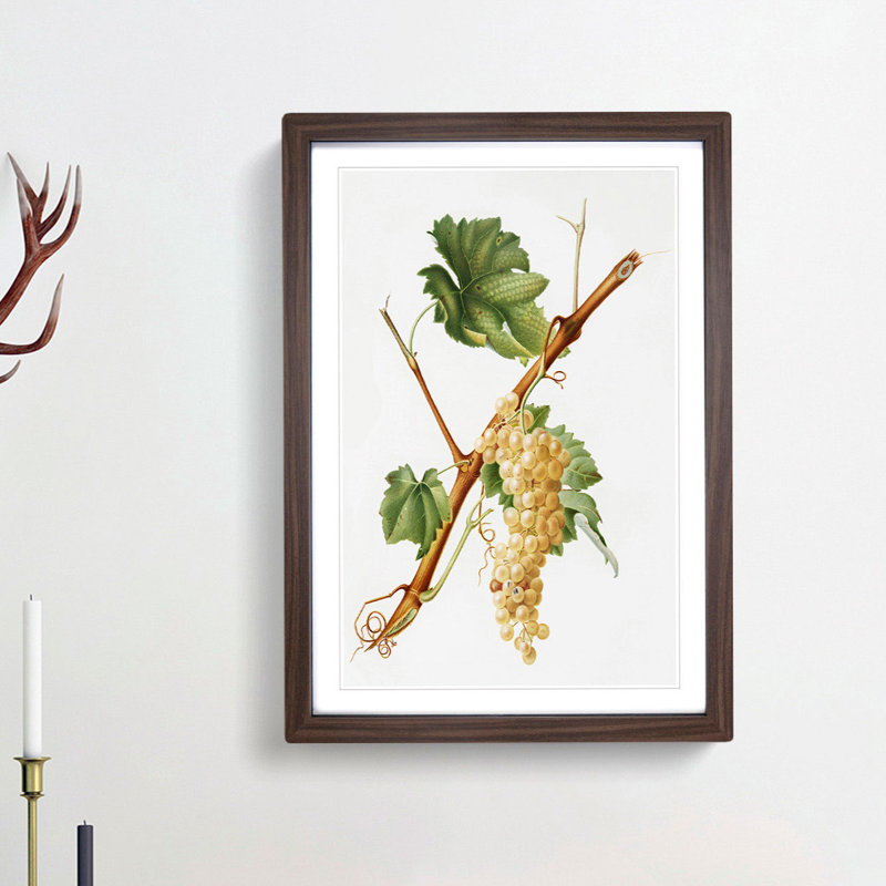 Vermentino Grapes by Giorgio Gallesio - Picture Frame Painting Print, 36cm H x 27cm W x 2cm D, Walnut Framed