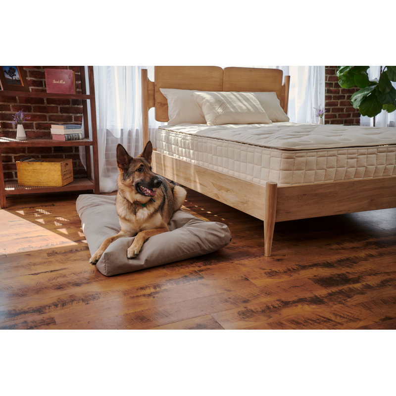 Naturepedic Organic Pet Bed with Washable Waterproof Cover, 47" H x 29" W x 5" D