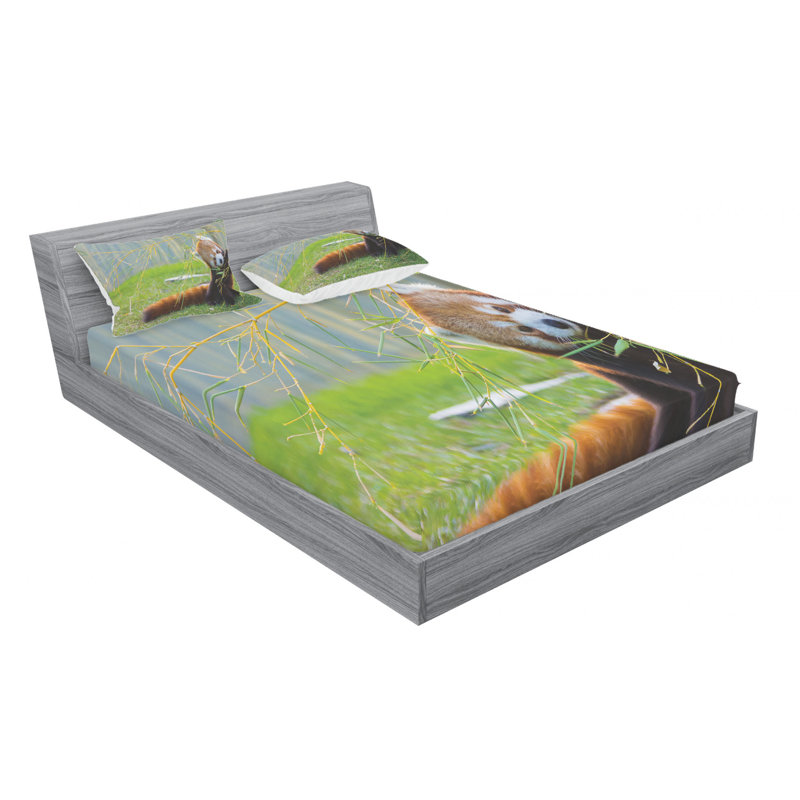 Ensemble de draps himalaya avec des branches de bambou pour le terrain