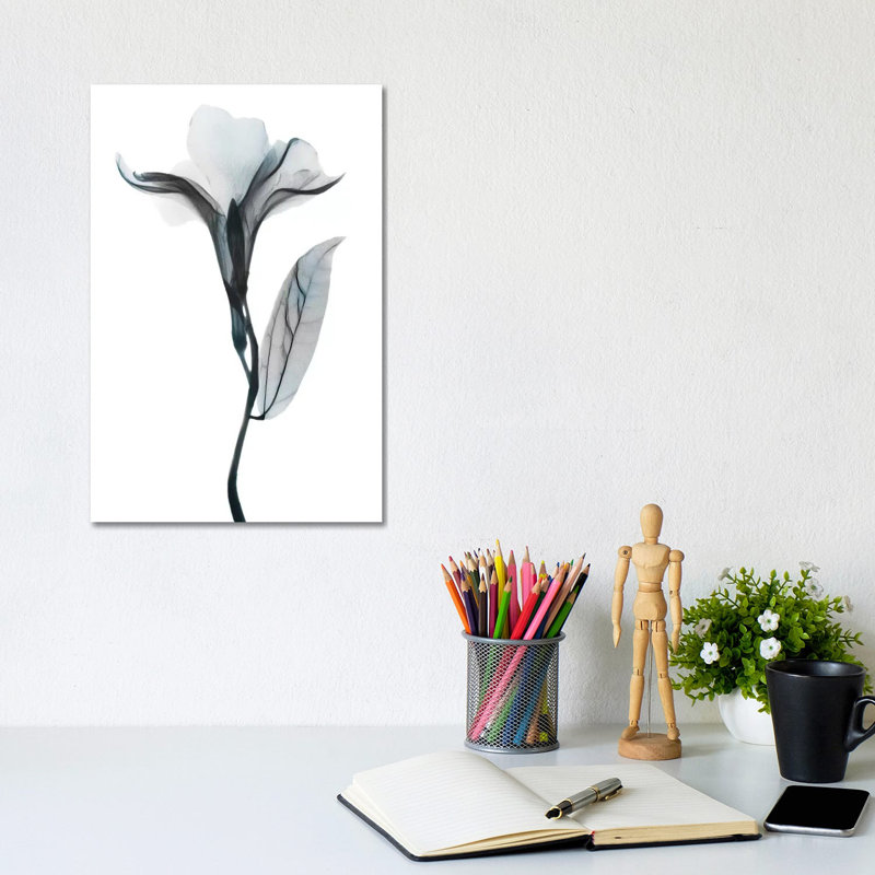 Ombre Sea Salt Oleander I by Albert Koetsier - Wrapped Canvas Gallery-Wrapped Canvas Giclée, 20.32 cm H x 30.48 cm W