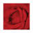 Red Umbrella Paris II by Kimberly Allen - Wrapped Canvas Print-2078237128