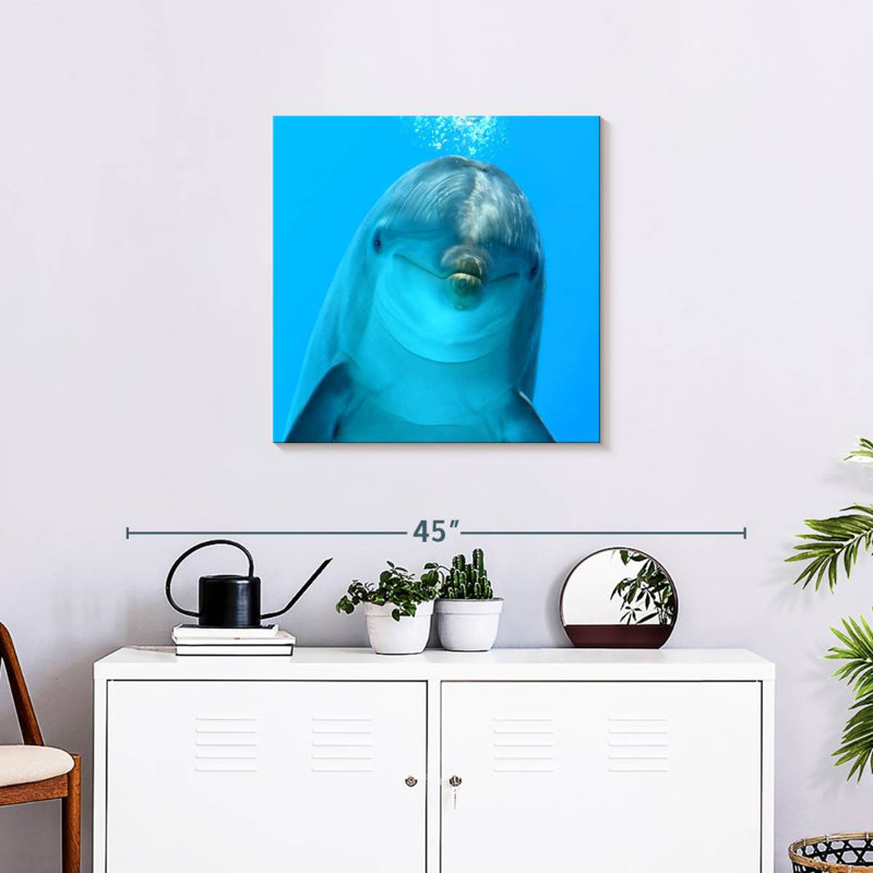 Brampt Dolphin Encounter, 24" H x 24" W
