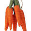 Bouquet de carottes 14 "en jute
