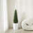 Adcock Faux Cedar Topiary Tree 4FT - UV Resistant Fake Cypress Tree with Big Planter and Decorative Plants-968402524-968402521