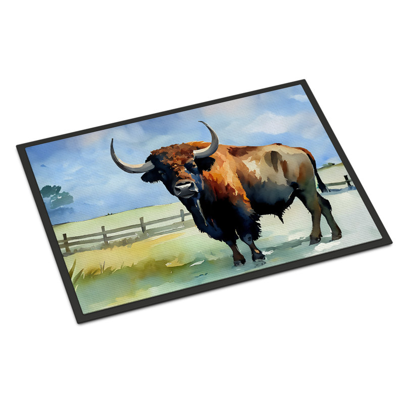 Luegenia Non-Slip Doormat, L 18 po x L 27 po