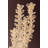 Pedrillo Coconut Shell Beaded Chandelier-126645465