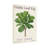 Plants &Flowers Fiddle Leaf Fig Tree Print Pattern-327890300