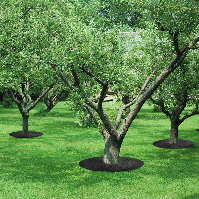Anneaux de paillis d'hévéa en caoutchouc pour l'aménagement paysager, la barrière contre les mauvaises herbes et le gazon, tapis de protection des racines - disponibles en formats de 20 po, 24 po, 30 po, 36 po, plusieurs options de paquet