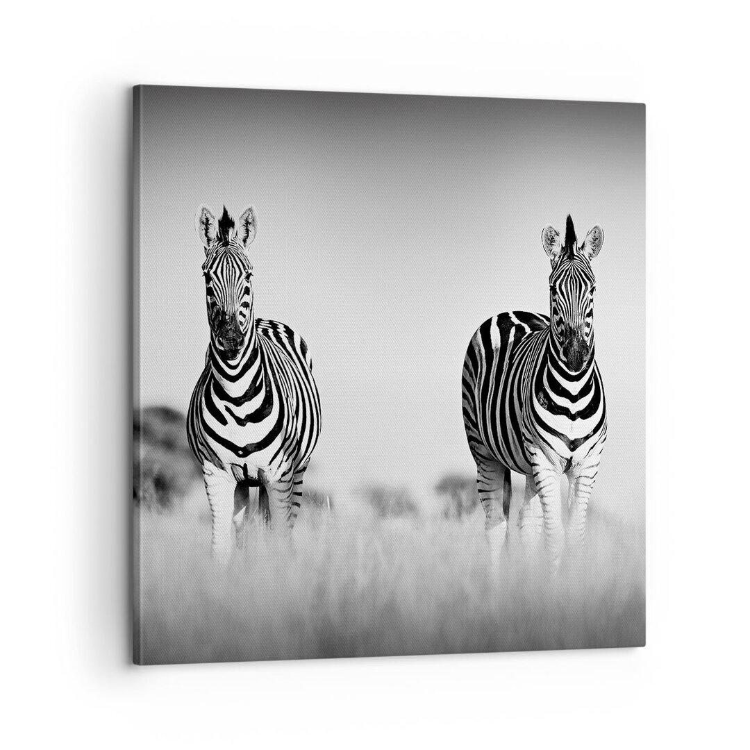 Leinwandbild Zebras Black and White